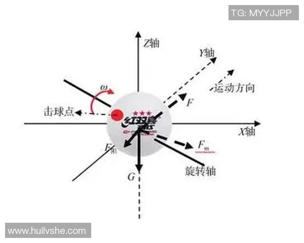 杭州乒乓球队的战术节奏分析与未来发展展望